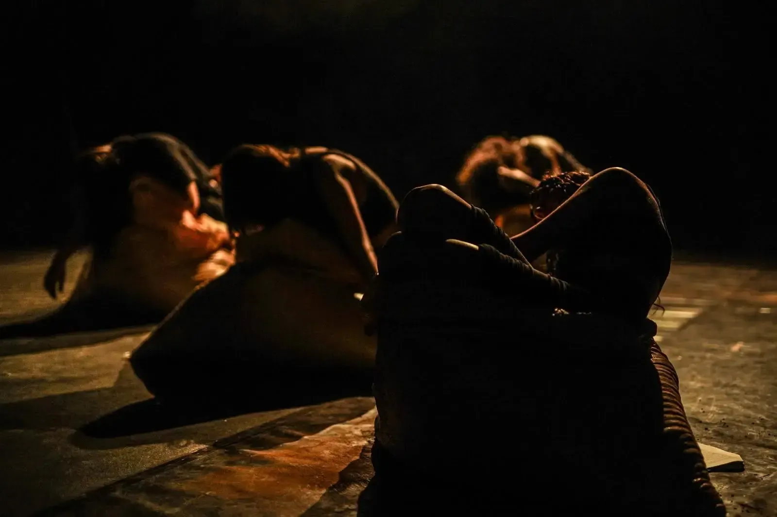Metáforas de um Jardim Singular